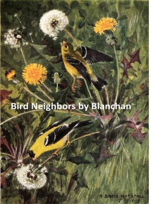 cover image of Bird Neighbors